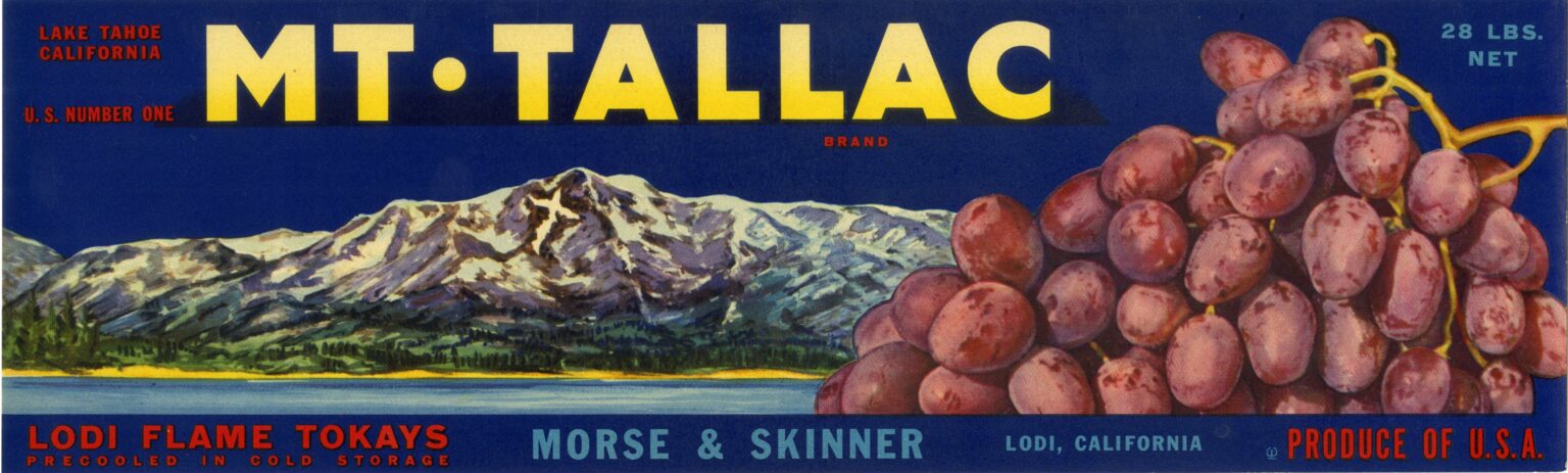 Mt. Tallac Mt. Tallac